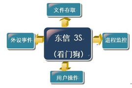 東信金融 社會經濟咨詢服務的戰略價值與實踐路徑